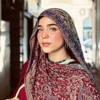 TikTok Account - hadeerfouad00