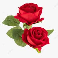 TikTok Account - sce_ne_ry