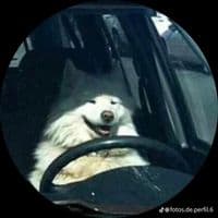 TikTok Account - im_jafet00