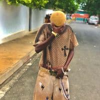 TikTok Account - nosybelyrics207