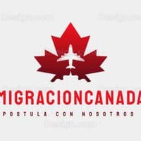 TikTok Account - emigrarcanada