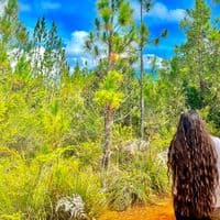 TikTok Account - dianavairaa