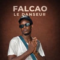 TikTok Account - falcaoledanseur