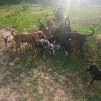 TikTok Account - bfdtikkkkssssr75377