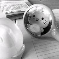 TikTok Account - ct_.1703