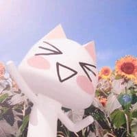 TikTok Account - ayra_len