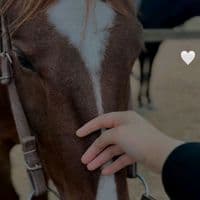 TikTok Account - fatmabaa1