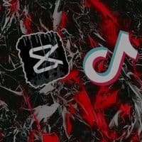 TikTok Account - zededitz11