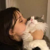 TikTok Account - rozelones