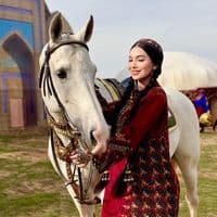 TikTok Account - yhlaslydunyagroup