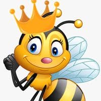 TikTok Account - p_4_e_l_k_i_n_a