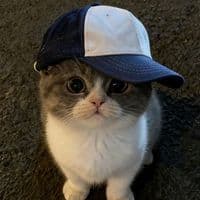 TikTok Account - olzhas.ae