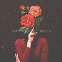 TikTok Account - f2050z