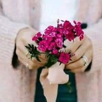 TikTok Account - rajputhina2244