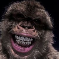 TikTok Account - caicedo_nx