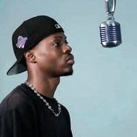 TikTok Account - zooland88