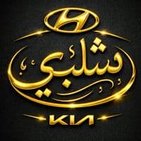 TikTok Account - shalabi900