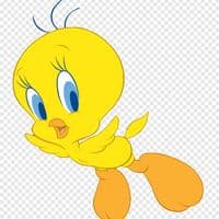 TikTok Account - juno_shinsegae