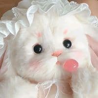 TikTok Account - sung.xin8