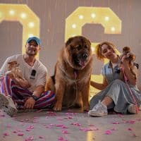 TikTok Account - fans.alaa.and.ros