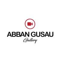 TikTok Account - abbangusau_gallery