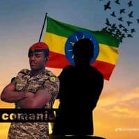 TikTok Account - tesfa_nazu