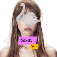 TikTok Account - urstevensoe