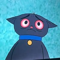 TikTok Account - praznazgrada