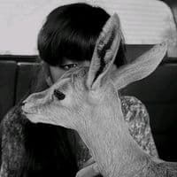 TikTok Account - zyrai.9