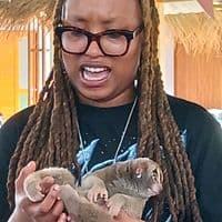 TikTok Account - goddess.of.survival