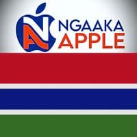 TikTok Account - ngaaka.apple.gambia