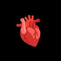 TikTok Account - xxgurlsxyz