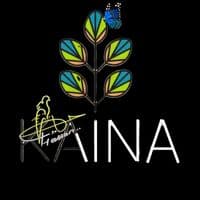 TikTok Account - kaina2026