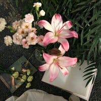 TikTok Account - if.meti