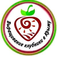 TikTok Account - klubnika_kak_caxap