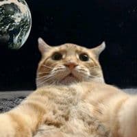 TikTok Account - naldprommarsz