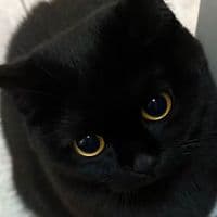 TikTok Account - axno._.fff