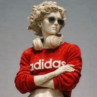 TikTok Account - rose.rlh