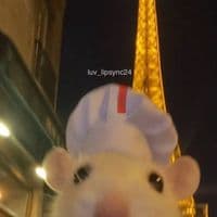 TikTok Account - luv_lipsync24