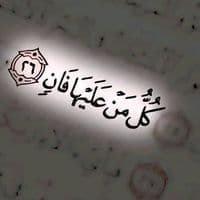 TikTok Account - 1989h39