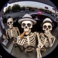 TikTok Account - 505xvibe