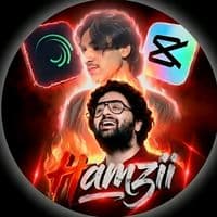 TikTok Account - hamzii1210