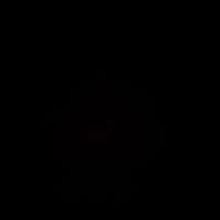 TikTok Account - _misswarda_