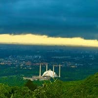 TikTok Account - moon_chaddar