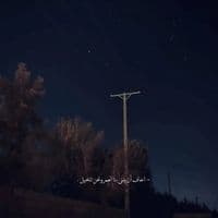 TikTok Account - 5vel