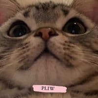 TikTok Account - usere1xocomwxw