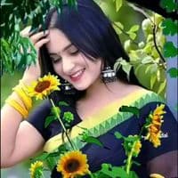 TikTok Account - nil.akasher.pori2