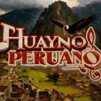 TikTok Account - huaynos_p