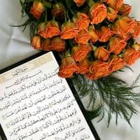 TikTok Account - muhametnur926