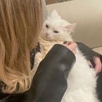 TikTok Account - senechhk.a